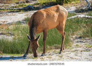 800米决赛直播：谁能问鼎速度之巅？