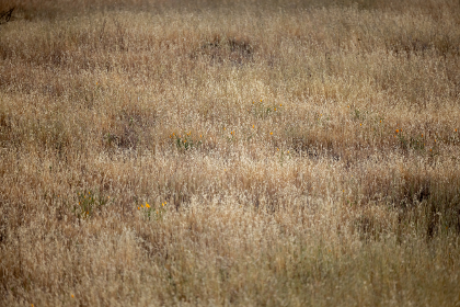 7星彩开奖历史最新结果查询与往期数据汇总