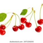 NBA湖人队最新比赛直播火热进行中 h272erw